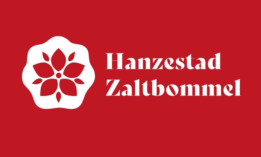 hanzestad logo uitvergroot3