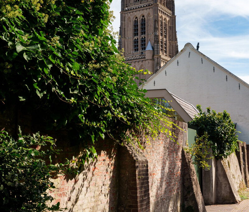 Fotolux_Hanzestad_deel_2_19-09-2025_HR_03