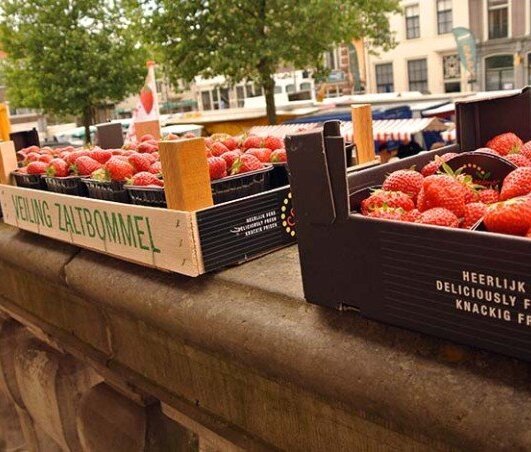 aardbeien-M