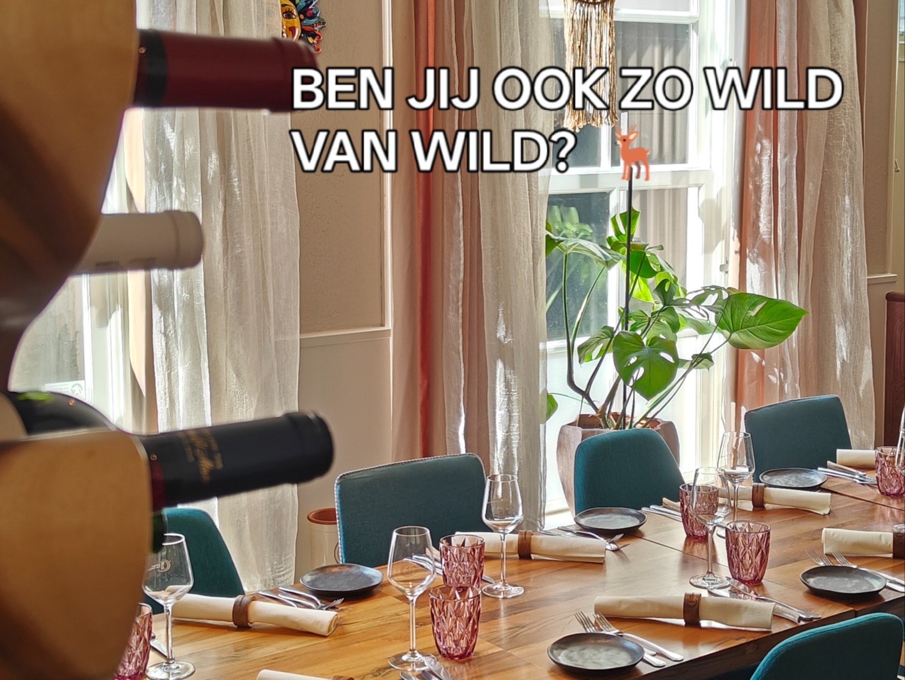 WILDAVOND 